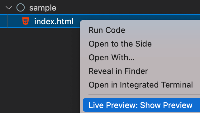 VS Code Live Preview: Show Preview