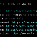 Viteでnpm run dev実行後にdevやstgなどのURLを表示する方法